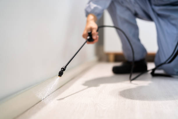 Certified termite inspector examining foundation in Prudhoe Bay