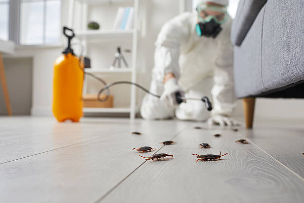 Commercial Kitchen Cockroach Control in Prudhoe Bay